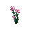 Brush Flax
