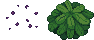 Tenderberry