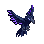 Blight Crow